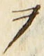 文字 ヲ