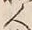 “人”字