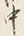 字中