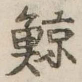已定位鯨