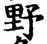 Character 野