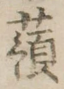 已定位蕷