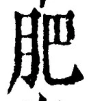 Chữ 肥