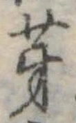 位置 確認된 芽