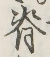 位置 確認된 脊