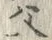 “父”字