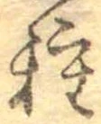 已定位種