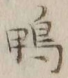 字鴨