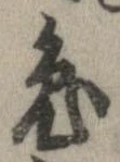 已定位兎