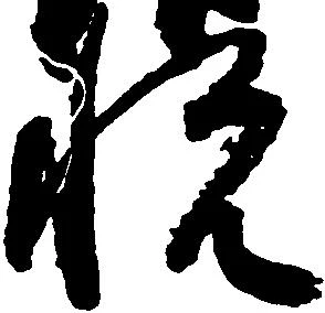 已定位悦