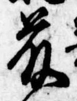 已定位藤