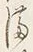 文字 内
