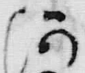 「河」字