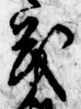 已定位茂