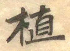 字植