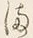 “ま”字