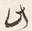 Character は