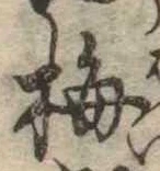 已定位梅