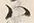 “男”字