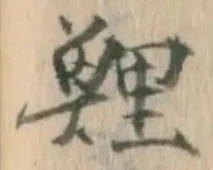 文字鯉
