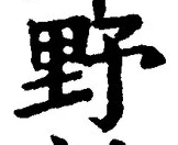 Character 野