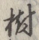 Located 樹
