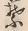 字葉