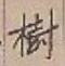 「樹」字