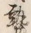 Character 時