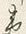 Character 州