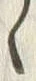 「ゝ」字