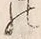 文字 御