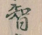 Đã định vị 智