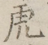 已定位虎