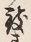 字せ