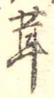 位置定マレル茸