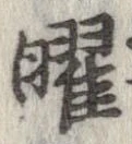 位置 確認된 曜