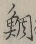 Character 鯛