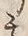 Character 土