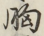文字 胸