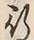 文字 行
