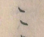 位置定マレルこ