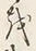 Chữ を