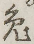 已定位兎