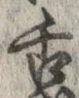 已定位舌