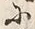 文字難