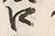 “松”字