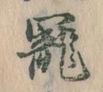 㐌定位寵