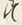 字す