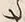 字さ